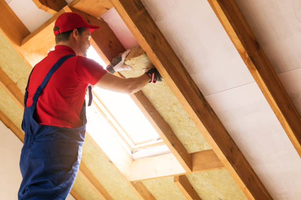 Best Spray Foam Insulation  in Skippers Corner, NC